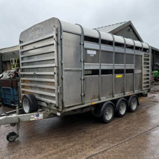 2019 Ifor Williams DP120 14' Tri Axle with Sheep Decks